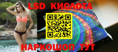 гидра Славгород