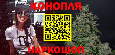 гидра Славгород