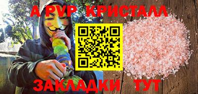гидра Славгород