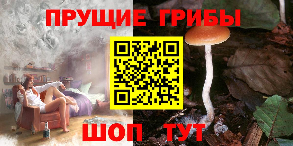 Псилоцибиновые грибы мицелий  Вход с VPN  Пенза 