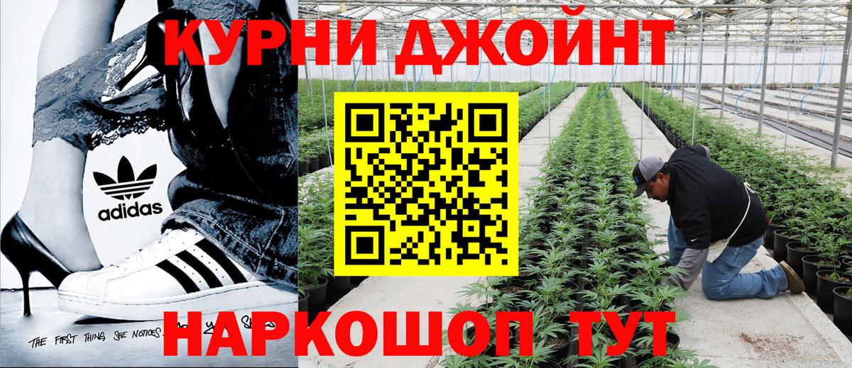 Шишки марихуана сатива Пенза